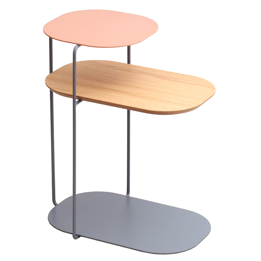 IMG_2867 br 1000.jpg