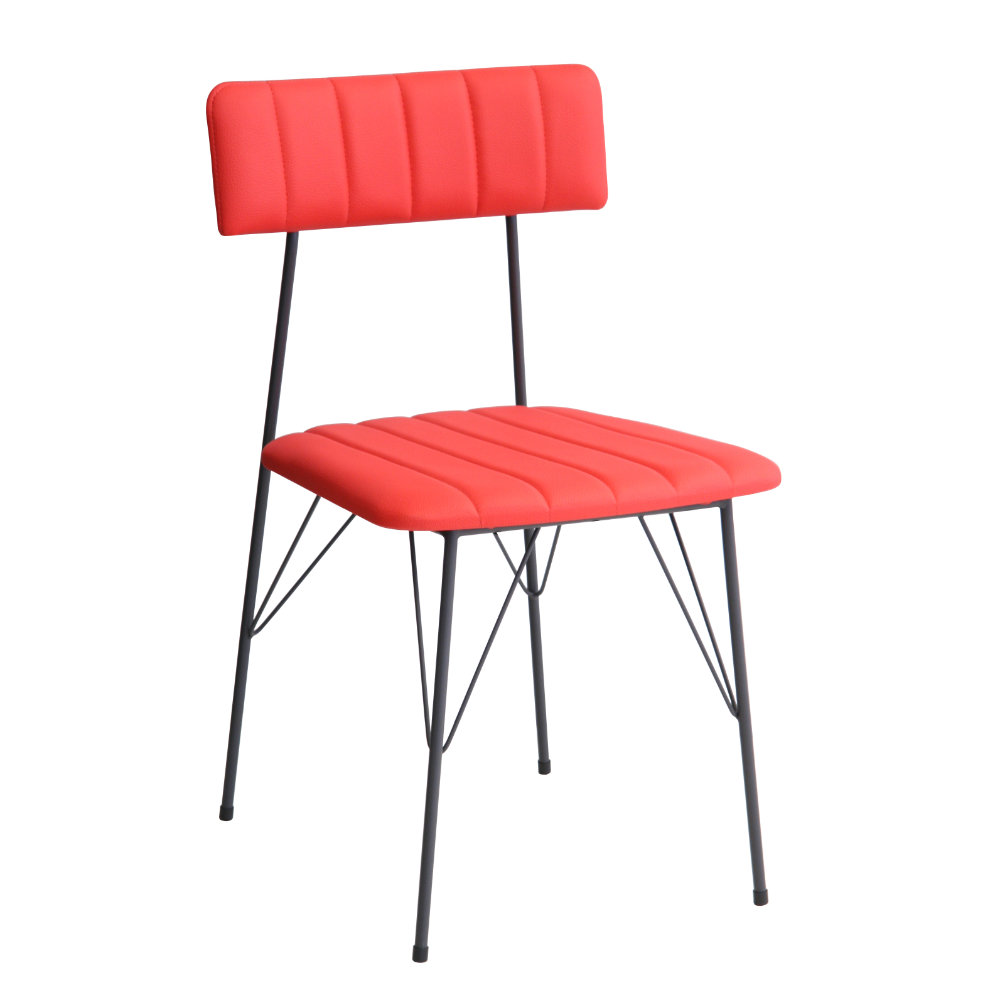 IMG_8206branco 1000px.jpg