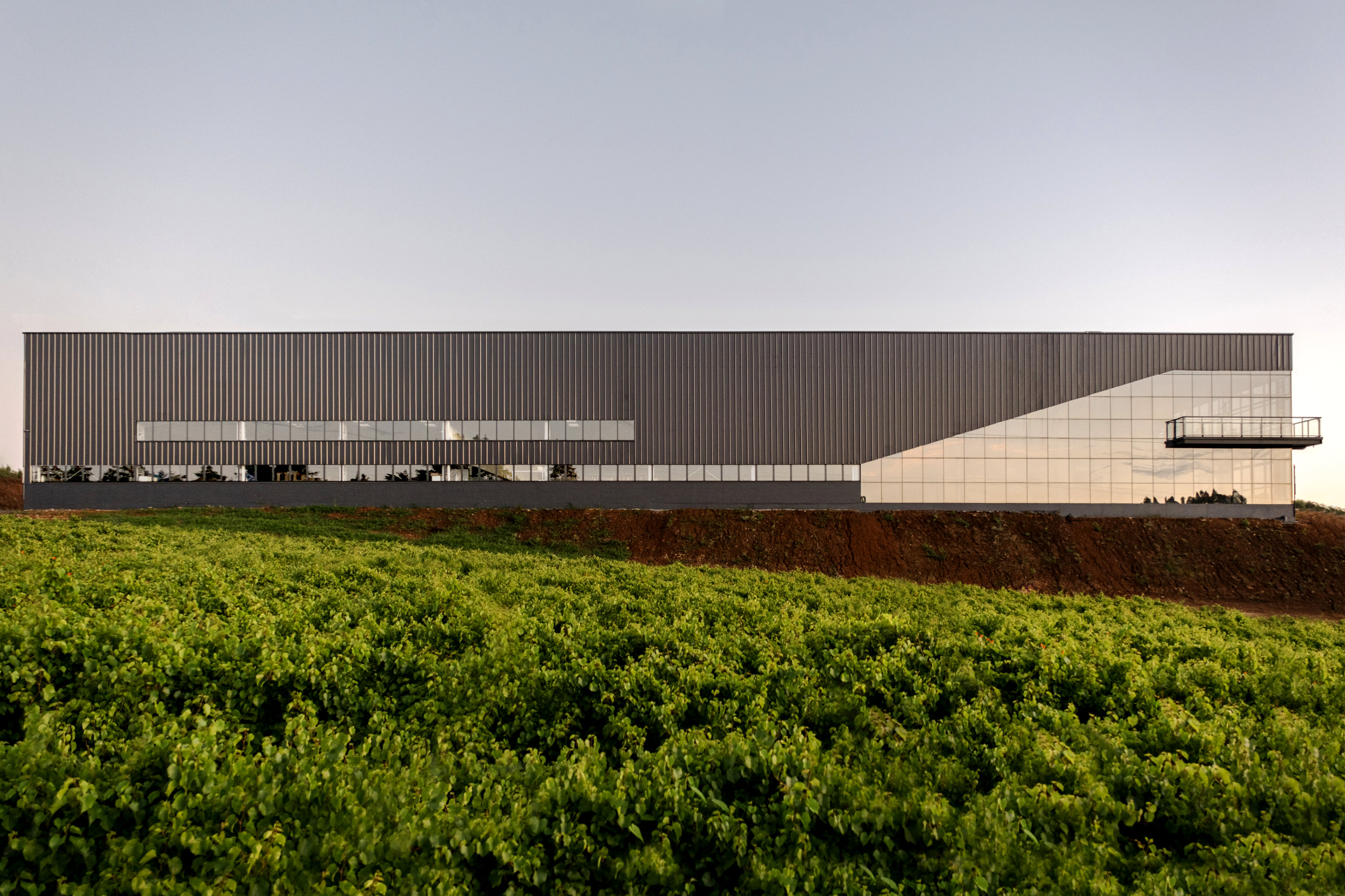 DSCF1888 rodrigo m.jpg