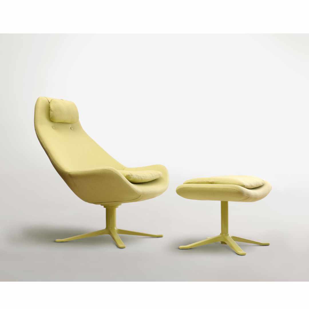 IMG_0565 b fundo1.jpg